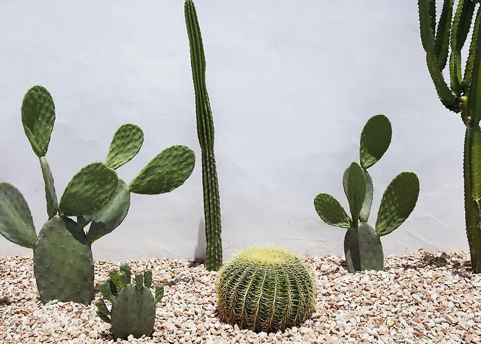 Boutique hotel only: Tessa'S On The Beach